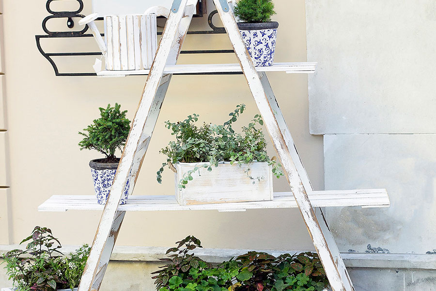 Idee fai da te per l’upcycling di materiali: l’immagine mostra una vecchia scala trasformata in scaffale porta piante utilizzando assi di legno.